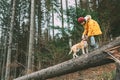 Boy in bright yellow parka walks with his beagle dog in pine for Royalty Free Stock Photo