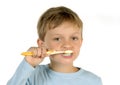 Boy brushing teeth Royalty Free Stock Photo