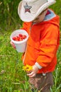 Boy with a bucket of berries and flower