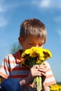 Boy and bunch of dandelions. Royalty Free Stock Photo