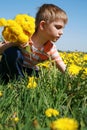 Boy and bunch of dandelions. Royalty Free Stock Photo