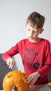 Boy busy carving a pumpkin jack-o-lantern for Halloween - removing the seeds Royalty Free Stock Photo