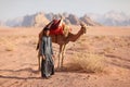Boy with camel Royalty Free Stock Photo