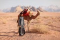 Boy with camel