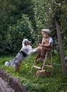 A boy in a cap and beige overalls together with a dog harvest apples. Royalty Free Stock Photo