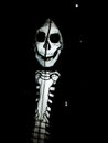 Boy in carnival skeleton costume