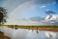 Boy Casting Fishing net in River with Rainbow Above and Rice Fields Behind Him