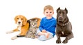 Boy, cat and two dogs Royalty Free Stock Photo