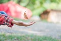 Boy catches brown and yellow maple leaf falling from a tree. Royalty Free Stock Photo