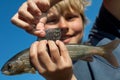 Boy caught grayling Royalty Free Stock Photo