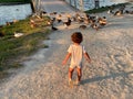 Boy chasing ducks in a park with a bridge in the background Royalty Free Stock Photo