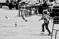 Boy chasing pigeons