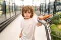 Boy child with shopping trolley with products. Little cute boy with shopping cart full of fresh organic vegetables and Royalty Free Stock Photo