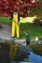 Boy working in the garden, cleaning the pond Royalty Free Stock Photo