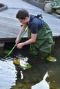 Boy cleaning garden pond Royalty Free Stock Photo