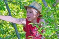 The boy climbed on an apple tree with a hat.