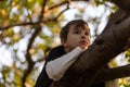 The boy climbed a tree. The child sat on the branches of a tree. Boy with long bangs.