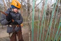 Boy climber preparing to the passage ropes course Royalty Free Stock Photo