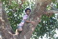 The boy climbing on  the big tree and sitting hugs the trunk in the countryside. Royalty Free Stock Photo