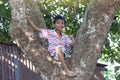 The boy climbing on the big santol tree and sitting smile in the countryside. Royalty Free Stock Photo