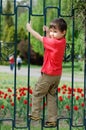 Boy climbing fence Royalty Free Stock Photo