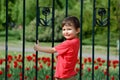 Boy climbing fence Royalty Free Stock Photo