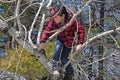 Boy climbing tree Royalty Free Stock Photo