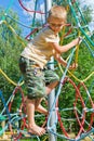 The boy climbs the ropes