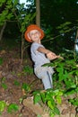 The boy climbs the slope of the ravine Royalty Free Stock Photo