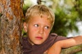 A boy climbs a tree Royalty Free Stock Photo