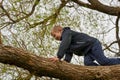 A Boy Climbs Tree Royalty Free Stock Photo