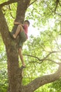 A boy climbs a tree trunk in the garden.  Children`s vacation.  Happy childhood concept Royalty Free Stock Photo