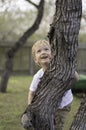 Boy Climbs Tree Royalty Free Stock Photo