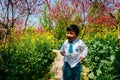 Boy in Colorful flower field