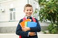 Boy with copybooks against school building Royalty Free Stock Photo
