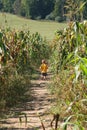 Boy in a corn maze