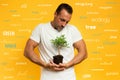 Boy cradles a small tree ready to be planted. yellow color background. concept of forestation, ecology and conservation