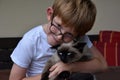 Boy cuddles his little cat Royalty Free Stock Photo