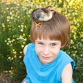 Boy cute with chiken on his head nature summerr