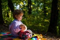 Boy cute child play with teddy bear toy forest background. Picnic with teddy bear. Hiking with toy. Little tourist Royalty Free Stock Photo