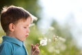 Boy with dandelion Royalty Free Stock Photo