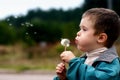 Boy with a dandelion Royalty Free Stock Photo