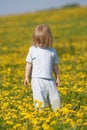 Boy in a dandelion field