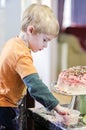 Boy decorating cake Royalty Free Stock Photo