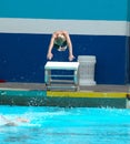 Boy diving into pool Royalty Free Stock Photo