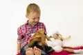 Boy with a dog beagle Royalty Free Stock Photo