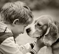Boy and dog black and white portrait Royalty Free Stock Photo