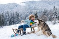 Boy with dog enjoy a sleigh ride. Child sledding, riding a sledge. Children play in snow in winter. Outdoor kids fun for Royalty Free Stock Photo