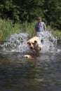 Boy and Dog Playing Fetch Royalty Free Stock Photo