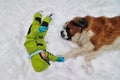 Boy and dog in the snow, Best friends Royalty Free Stock Photo